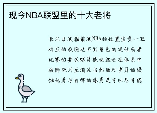 现今NBA联盟里的十大老将