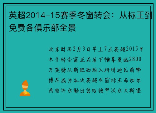 英超2014-15赛季冬窗转会:从标王到免费各俱乐部全景